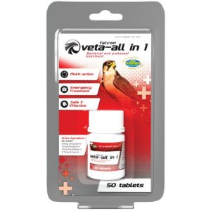Falcon Veta All In 1