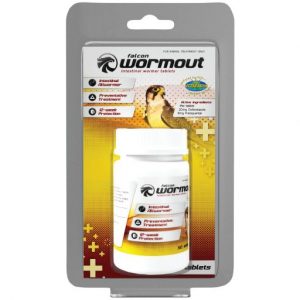 Falcon Wormout