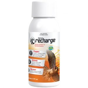 Falcon Recharge