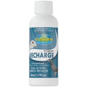 Pigeon Recharge